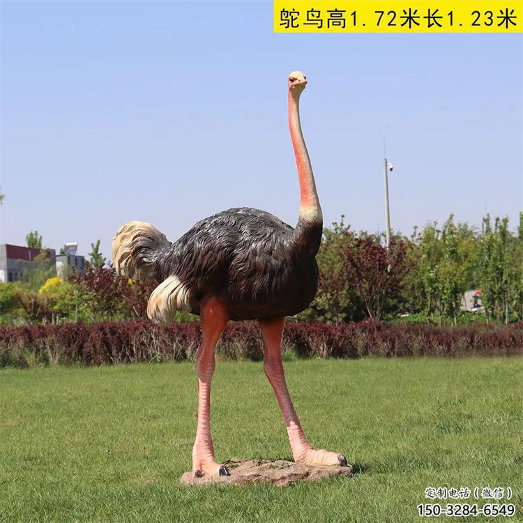玻璃鋼仿真鴕鳥雕塑廠家，公園廣場動物，大型園林小品