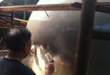園林藍(lán)莓雕塑 風(fēng)景區(qū)仿真雕塑 廣場小品